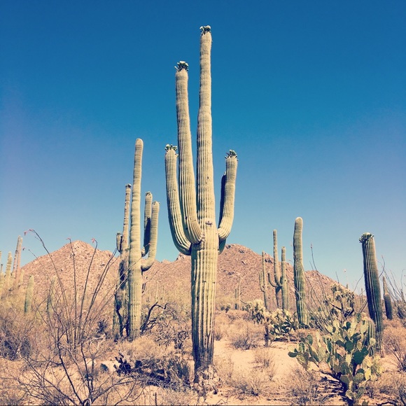 Meet your Posher, Allison - Picture 1 of 1